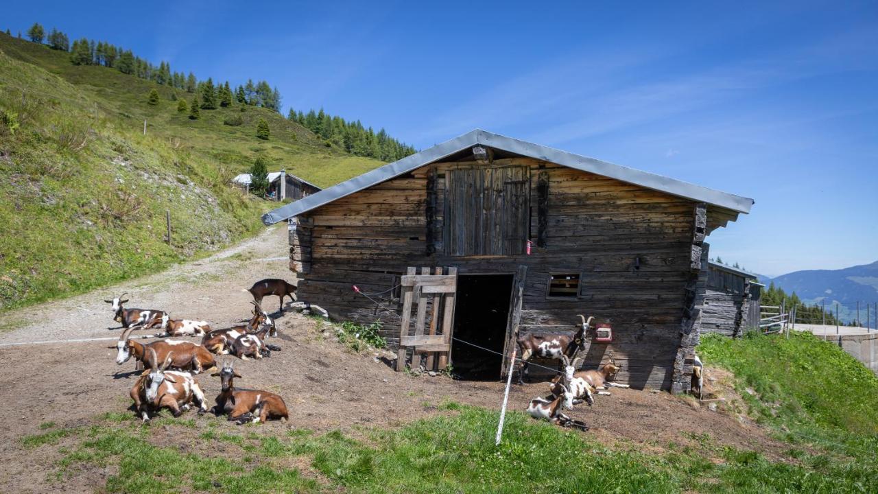& Mit 3* Fügen